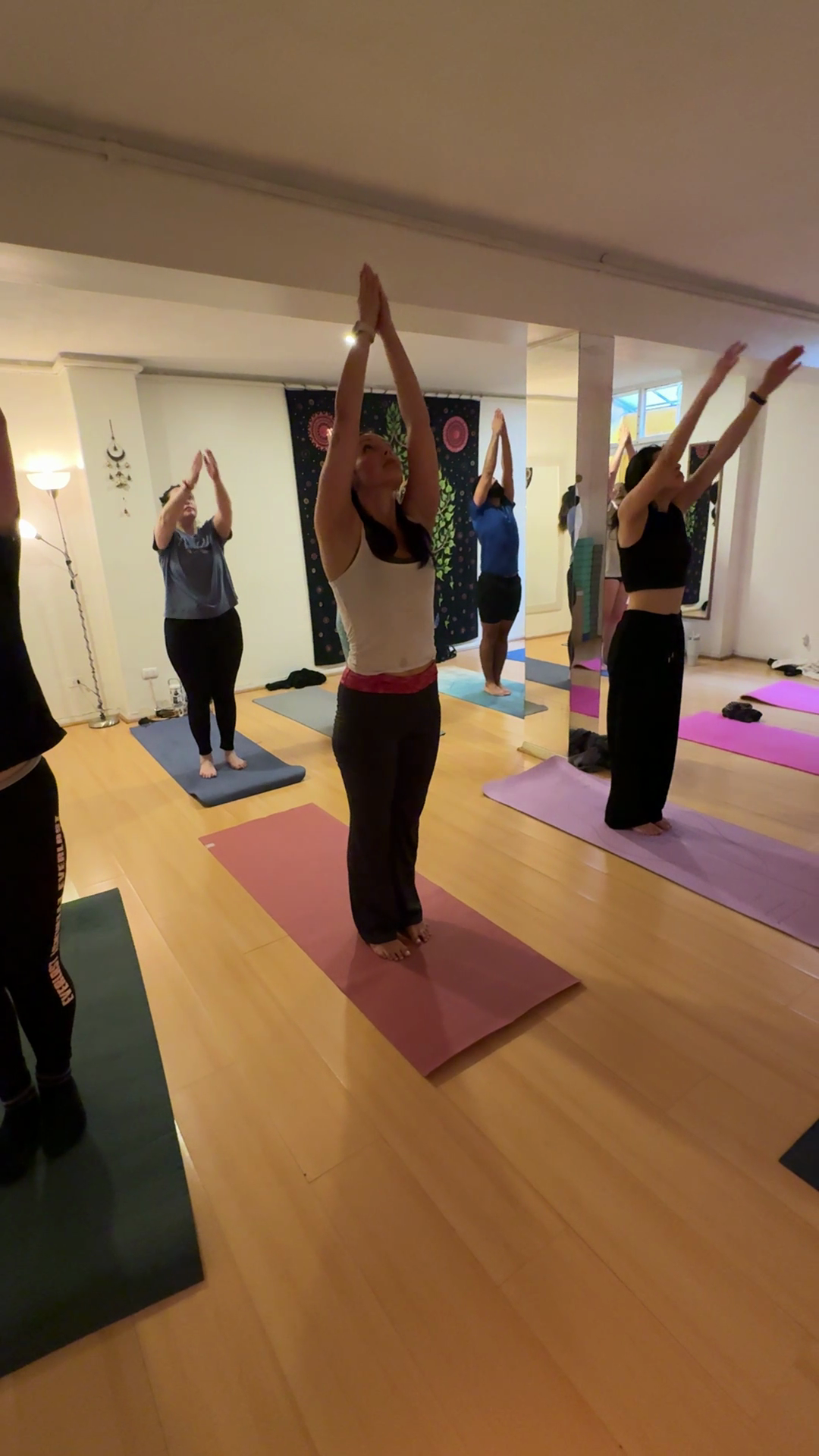 Ashtanga Vinyasa